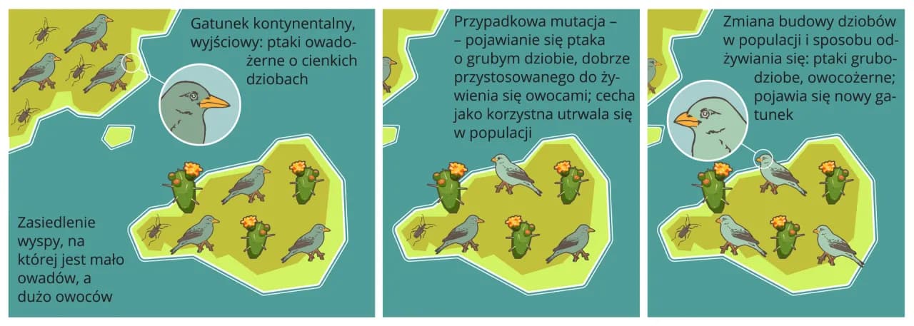 Izolacja geograficzna – jak wpływa na ewolucję i różnorodność gatunków Izolacja geograficzna – jak wpływa na ewolucję i różnorodność gatunków