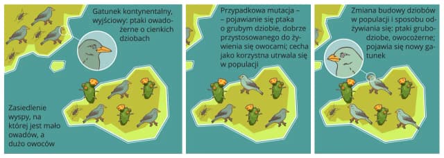 Izolacja geograficzna – jak wpływa na ewolucję i różnorodność gatunków Izolacja geograficzna – jak wpływa na ewolucję i różnorodność gatunków